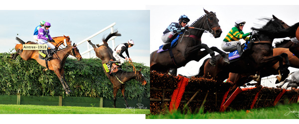 SteepleChasing Photography