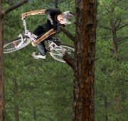 tree-bike-action-photo