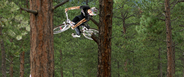 tree-bike-action-photo